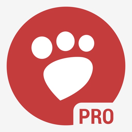 Desqueeze PRO – Batch Resizer