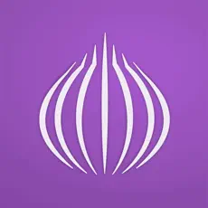 TOR Browser: OrNET Onion + VPN