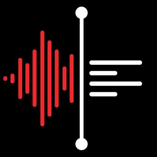 Voice Recorder AI Notes: Spiik IPA